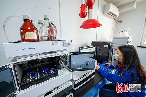 秦皇岛 以科技创新为引擎，打造知识产权强市典范